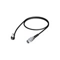 Shakespeare Shakespeare CPA132 Adapter Cable For Nokia 5100-6100 Series CPA132